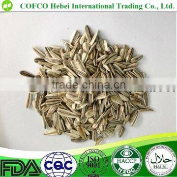 2016 new crop fried sunflower seeds