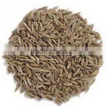 Cumin Seeds photo-6