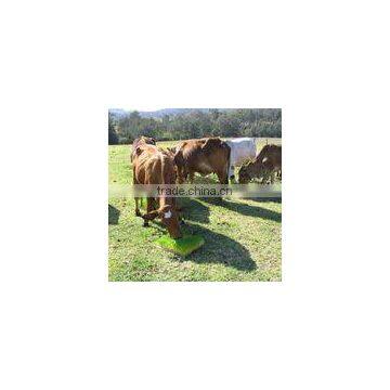 Fodder Solutionsfor Animal Feed Growing System photo-5