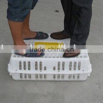 Plastic 2017 Professional Plastic Poultry Layer Cage for Sale Made in China Plastic Cage Bird Feeders photo-6