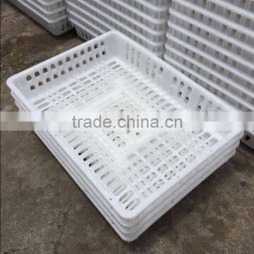 2016 Hot Sale Plastic Live Chicken Transport Cage With High Quality photo-6