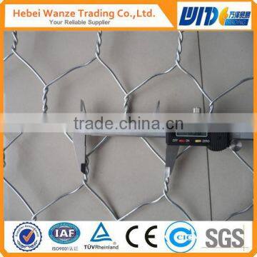 SGS certificated hexagonal wire mesh/hexagonal mesh with manufacture