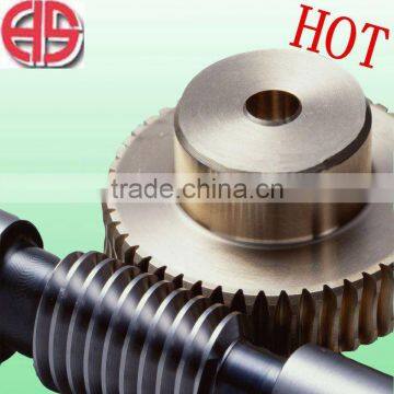 Worm gear