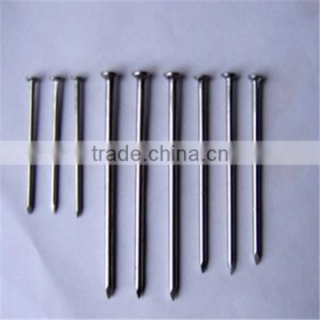 Galvanized roofing nai /roofing nail with umbrella head