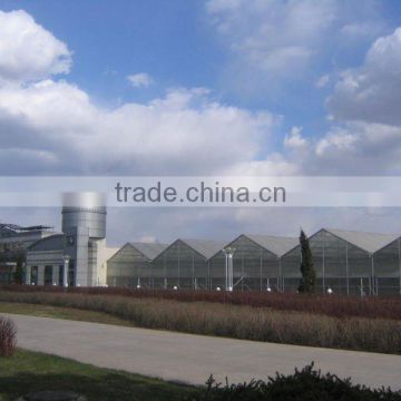 Large Span Polycarbonate Sheet Greenhouse