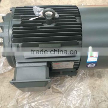 three phase Standard Electric Motor