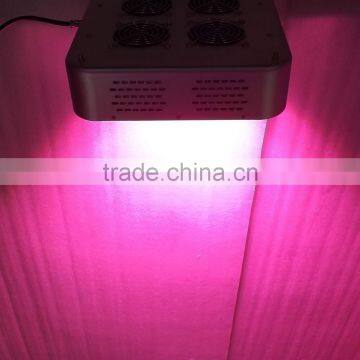 Whole Sale Led Plant Light Bulbs Led Lighting for Plant Grow photo-3