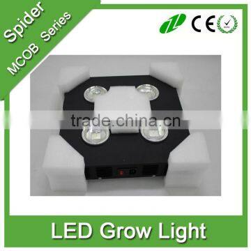 300w/600w/1000w COB Chips LED Grow Light Full Specturm for Greenhouse, Hydroponic System and Indoor Plant Flowering Growing photo-5