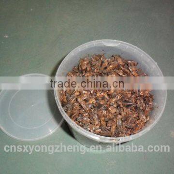 Pet Food Fish Food Microwave Dried Crickets Bagged/Canned photo-3