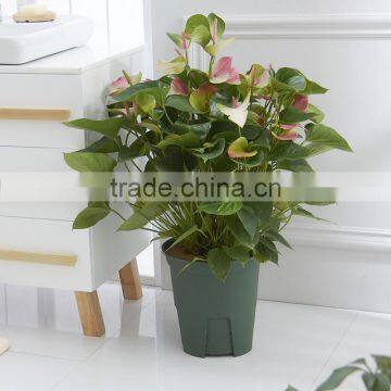 High Impact Plastic Flower Pot photo-6