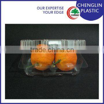 disposable blister plastic food tray
