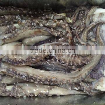 Frozen Giant Squid Tentacle photo-2