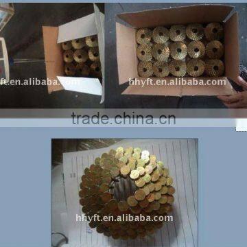 Factory Produce Coil Roofing Nails China Supplier photo-2