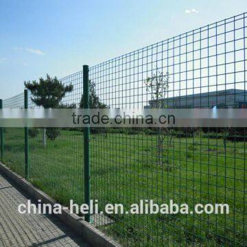 European style wire fencing with pvc coated,SGS