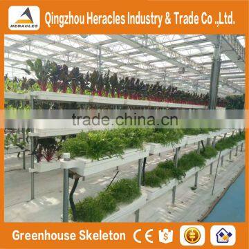 Agricultural Greenhouses For Soilless Hydroponics / Nft Systems For Tropical And Desert Areas photo-5