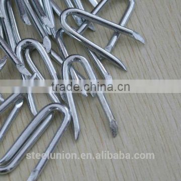 fence staples U nails(factory)