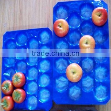 Economic Price Good Quality Export Standard Disposible Plastic Tray Liner for Apple in Food Grade