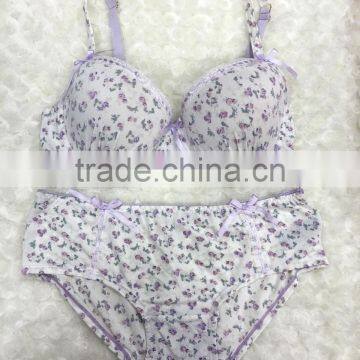 Lovely Flower Printed Hot Sale Sexy Ladies Fancy Bra Panty Set photo-2