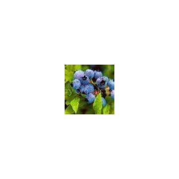 Blueberry Anthocyanin