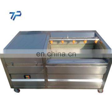 Apple High Efficiency Fruit and Vegetable Washing Machine