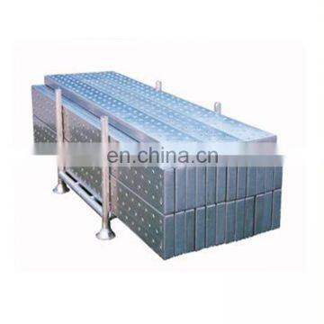 Tianjin Shisheng Galvanized Construction Metal Walk Board