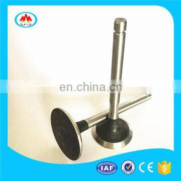 Motors Parts Diesel Engine Valve for Lombardini LGA 280 340 photo-4