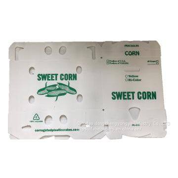 Plastic pp Corrugated Corn Box photo-2