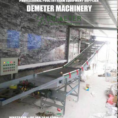 Layer Chicken Battery Cage Automatic Equipment photo-4