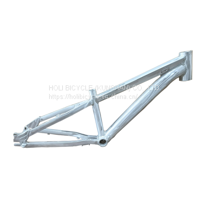 MTB children bike Aluminium Alloy mountain bike frame kids bicycle BMX frame