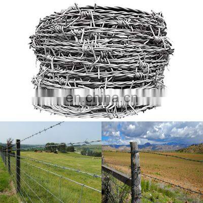 Factory Price Barbed Wire Fence Flat Wrap Razor Wire For Protecting photo-3