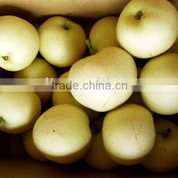 China Early Su Pears