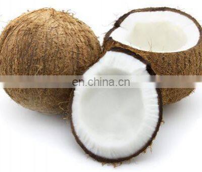 Coconut Water Processing Machine/coconut Juice Machine/coconut Milk Press photo-3