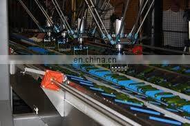Fully Automatic Stainless Steel Cucumber Length Sorting photo-3