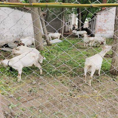 6FT PVC Coated Chain Link Fence With Superior Anti-Rust Protection photo-1