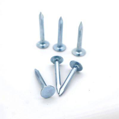 Galvanized Clout Nails China Factory Building Materials