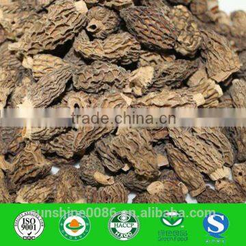 High Quality Dried Morel Edible Wild Morel