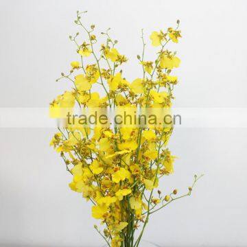 Factory Crazy Selling orchids plants wedding decoration