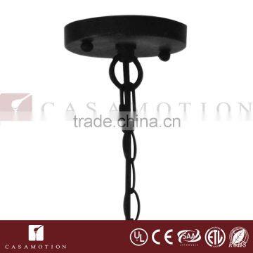 CASAMOTION Indoor Fancy Globe Glass Ball Pendant Light Quality Choice