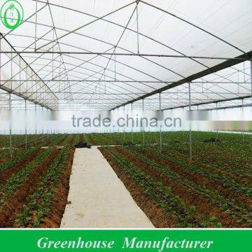 Gutter Connected Greenhouse