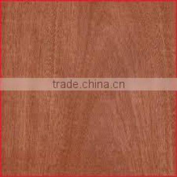 Sapele Face Plywood