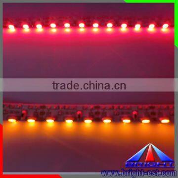 R+Y led strip light, SMD3014 side light strip, 240 leds/m strip lighting