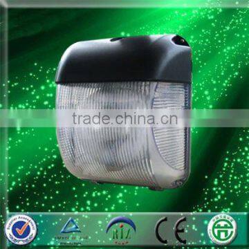 40w 6500K fashion induck Wall Pack light IP65