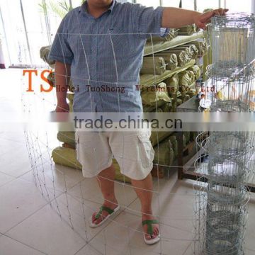 Hot sale low price galvanized deer farm fencing / cheap deer farm fencing