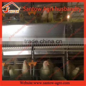 Stable Steel Structure Professional Chicken Egg Layer Cage Chicken Coop Plans for 12 Chickens photo-2