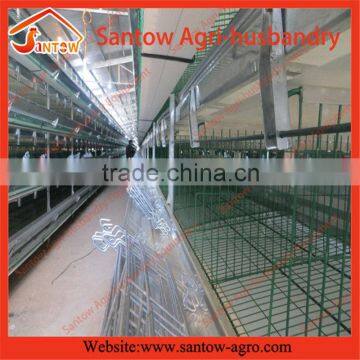 Stable Steel Structure Professional Chicken Egg Layer Cage Laying Hen House Plans Supplier's Choice photo-5