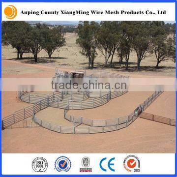 Galvanized Cattle Panel Cattle Crush with Oval/Square/Round Pipe