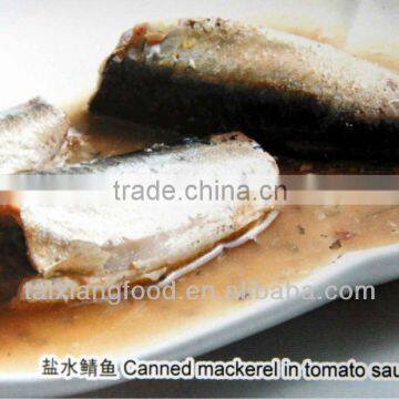 Canned mackerel in brine