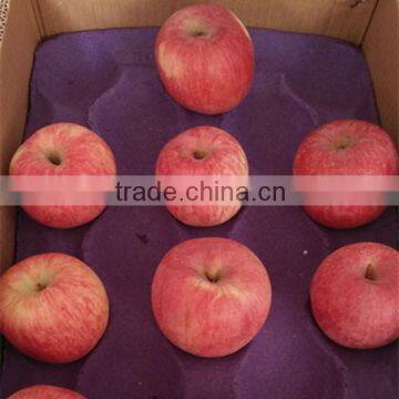 Fresh Red Fuji Apple Red Fuji Gold delicious green apples