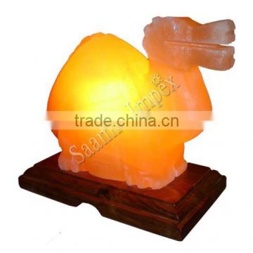 Beautiful Himalayan Salt Lamp Camel