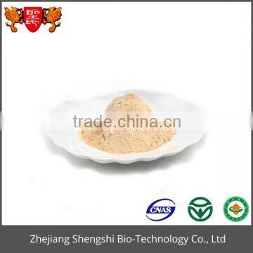 Golden Dried Longan Extract Powder photo-4